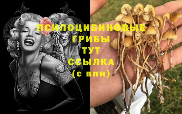 гидра Балахна