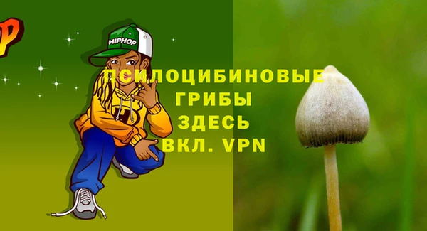 гидра Балахна