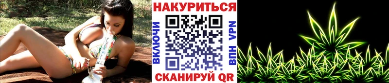Бошки Шишки планчик  Дыгулыбгей 